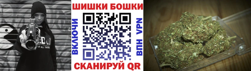 Псилоцибиновые грибы Пыталово