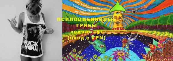 ALPHA-PVP Верхний Тагил