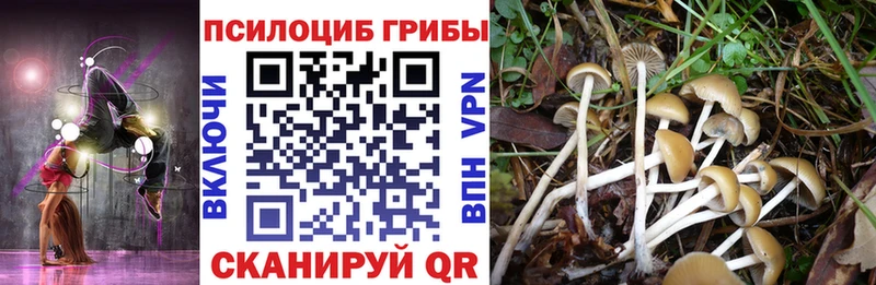 Купить закладки  Пыталово  Галлюциногенные грибы мицелий 